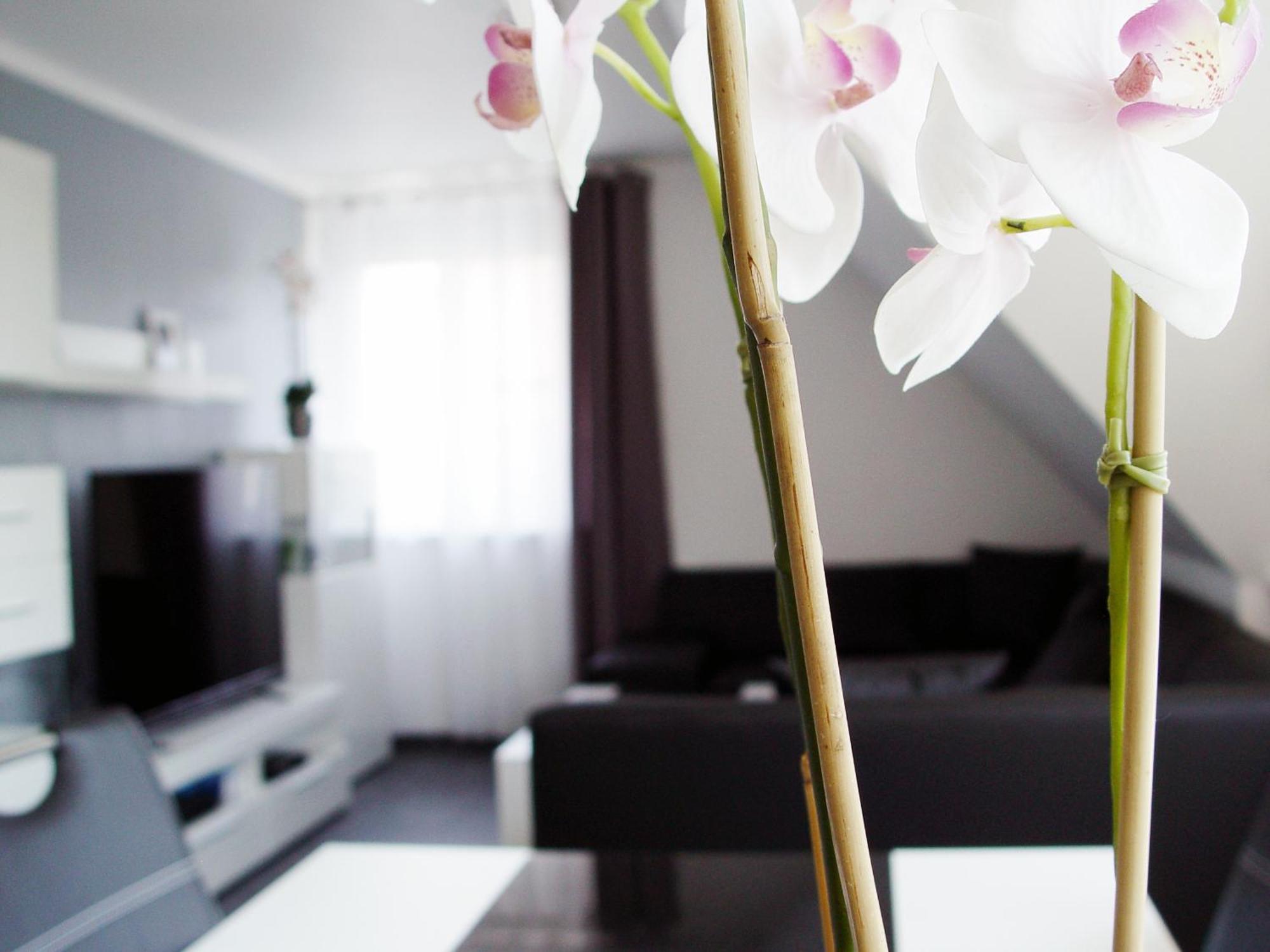 Apartament La Domus Premium Lotte Zewnętrze zdjęcie